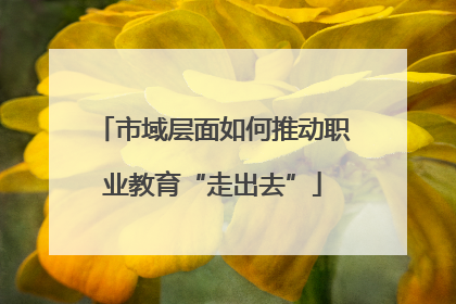 市域层面如何推动职业教育“走出去”