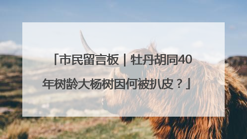 市民留言板｜牡丹胡同40年树龄大杨树因何被扒皮？