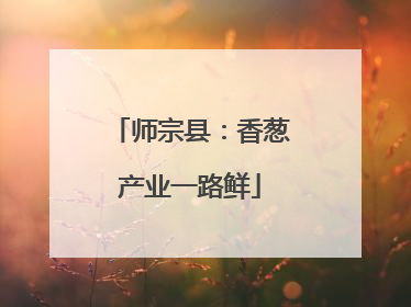 师宗县：香葱产业一路鲜