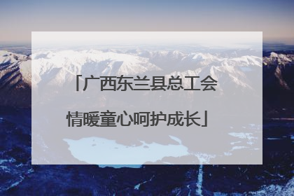 广西东兰县总工会情暖童心呵护成长