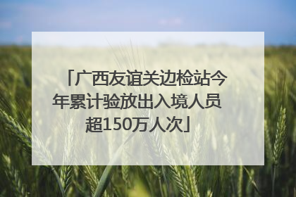 广西友谊关边检站今年累计验放出入境人员超150万人次