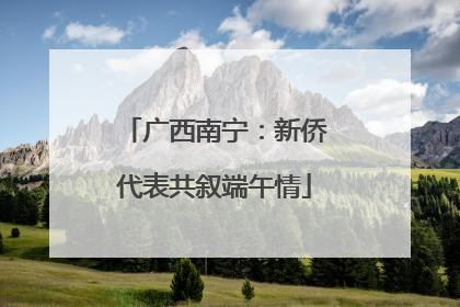 广西南宁：新侨代表共叙端午情