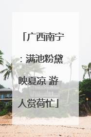 广西南宁：满池粉黛映夏凉 游人赏荷忙