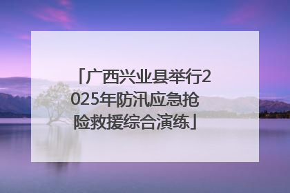 广西兴业县举行2025年防汛应急抢险救援综合演练