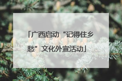 广西启动“记得住乡愁”文化外宣活动