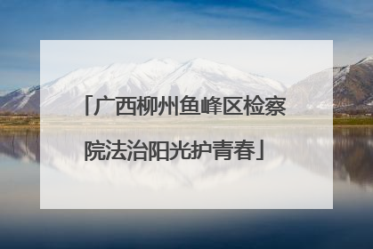 广西柳州鱼峰区检察院法治阳光护青春