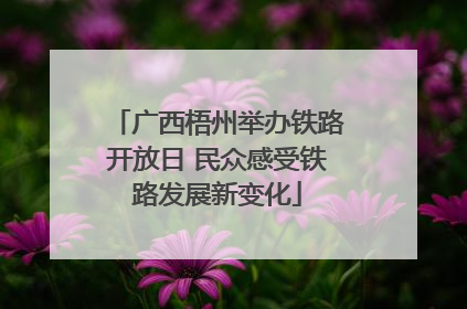 广西梧州举办铁路开放日 民众感受铁路发展新变化