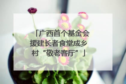 广西首个基金会援建长者食堂成乡村“敬老客厅”
