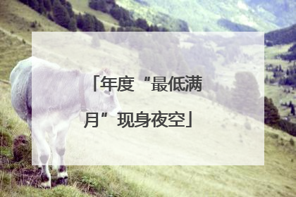 年度“最低满月”现身夜空