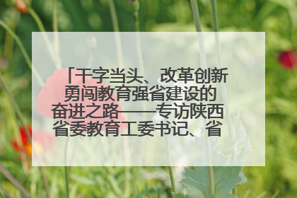 干字当头、改革创新 勇闯教育强省建设的奋进之路——专访陕西省委教育工委书记、省教育厅厅长王树声