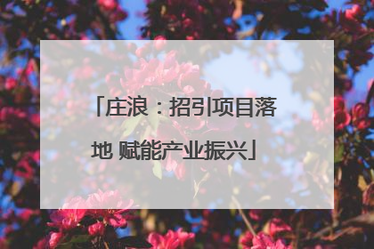 庄浪：招引项目落地 赋能产业振兴