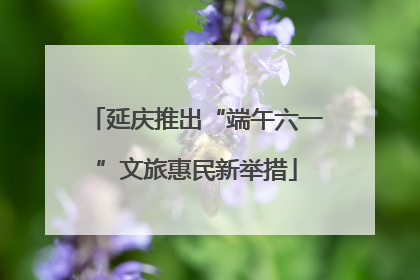 延庆推出“端午六一”文旅惠民新举措