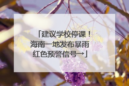 建议学校停课！海南一地发布暴雨红色预警信号→