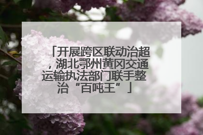 开展跨区联动治超，湖北鄂州黄冈交通运输执法部门联手整治“百吨王”