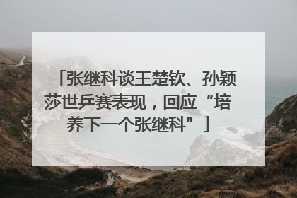 张继科谈王楚钦、孙颖莎世乒赛表现，回应“培养下一个张继科”