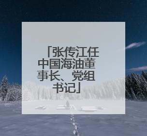 张传江任中国海油董事长、党组书记