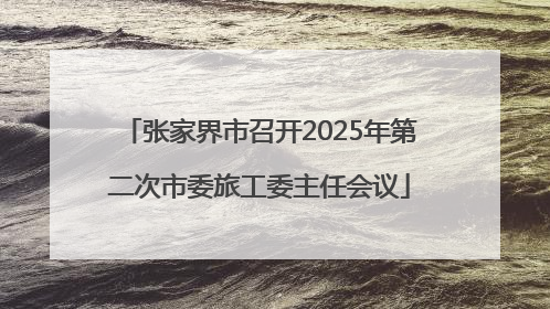 张家界市召开2025年第二次市委旅工委主任会议