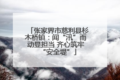 张家界市慈利县杉木桥镇：闻“汛”而动显担当 齐心筑牢“安全堤”