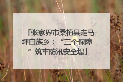 张家界市桑植县走马坪白族乡：“三个保障”筑牢防汛安全堤