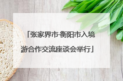 张家界市·衡阳市入境游合作交流座谈会举行