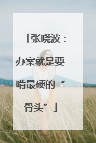 张晓波：办案就是要啃最硬的“骨头”