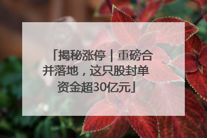 揭秘涨停｜重磅合并落地，这只股封单资金超30亿元
