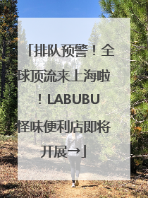 排队预警！全球顶流来上海啦！LABUBU怪味便利店即将开展→