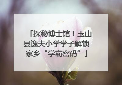 探秘博士馆！玉山县逸夫小学学子解锁家乡“学霸密码”