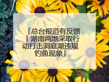 总台报道有反馈丨湖南两地采取行动打击洞庭湖违规钓鱼现象