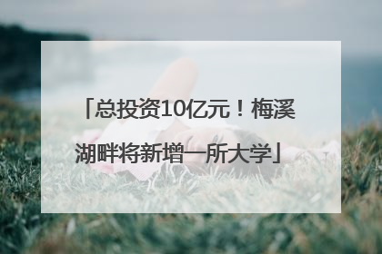 总投资10亿元！梅溪湖畔将新增一所大学