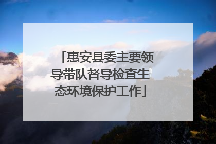 惠安县委主要领导带队督导检查生态环境保护工作