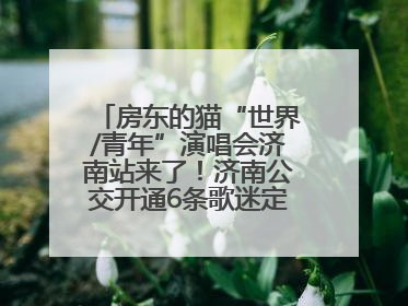 房东的猫“世界/青年”演唱会济南站来了！济南公交开通6条歌迷定制专线