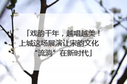 戏韵千年，越唱越美！上城这场展演让宋韵文化“流淌”在新时代