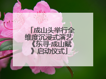 成山头举行全维度沉浸式演艺《东寻·成山赋》启动仪式