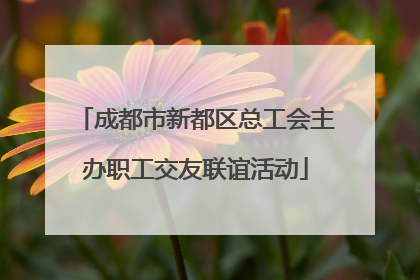 成都市新都区总工会主办职工交友联谊活动