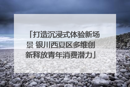 打造沉浸式体验新场景 银川西夏区多维创新释放青年消费潜力