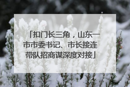 扣门长三角，山东一市市委书记、市长接连带队招商谋深度对接