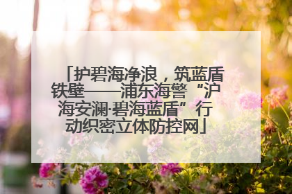 护碧海净浪，筑蓝盾铁壁——浦东海警“沪海安澜·碧海蓝盾”行动织密立体防控网