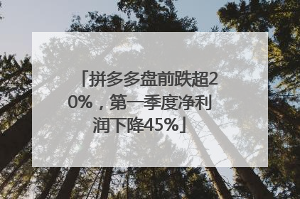 拼多多盘前跌超20%，第一季度净利润下降45%