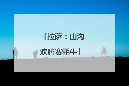 拉萨：山沟欢腾赛牦牛