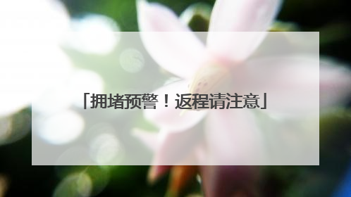 拥堵预警！返程请注意