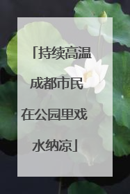 持续高温 成都市民在公园里戏水纳凉