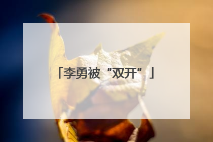 李勇被“双开”