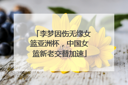 李梦因伤无缘女篮亚洲杯，中国女篮新老交替加速
