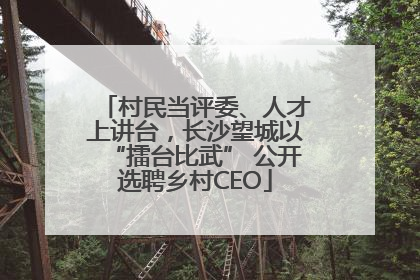 村民当评委、人才上讲台，长沙望城以“擂台比武” 公开选聘乡村CEO