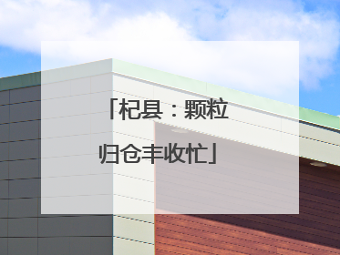 杞县：颗粒归仓丰收忙