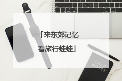 来东郊记忆 看旅行蛙蛙