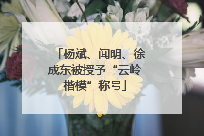 杨斌、闻明、徐成东被授予“云岭楷模”称号