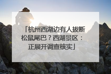 杭州西湖边有人拔断松鼠尾巴？西湖景区：正展开调查核实