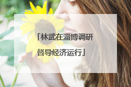 林武在淄博调研督导经济运行